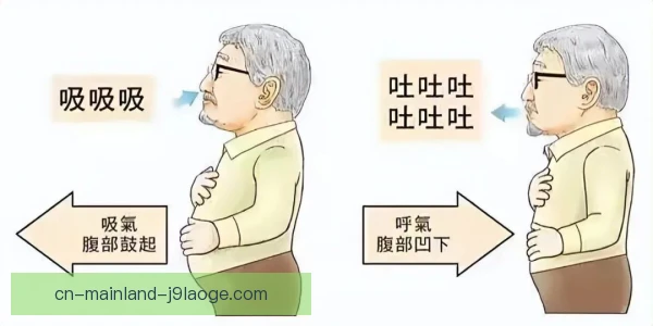 技巧体操呼吸肌训练，帮助动作稳定与发力